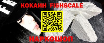 jwh Кингисепп