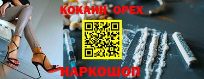 jwh Кингисепп