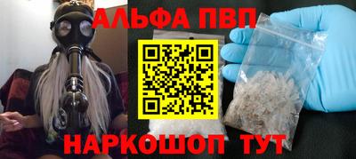 jwh Кингисепп